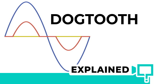 dogtooth explained