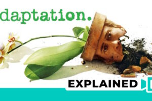 Adaptation Movie Explained (Plot And Ending)