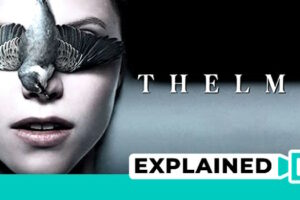 Nocturnal Animals Explained (Plot And Ending) Nocturnal Animals Explained (Plot And Ending)