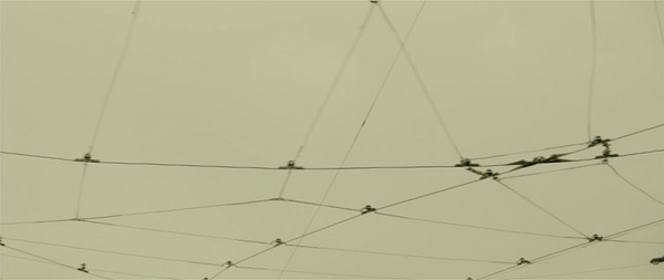 wire web