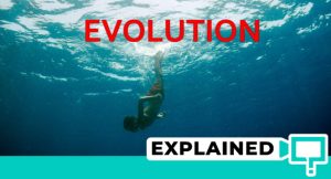 Evolution (2015) : Movie Plot Ending Explained