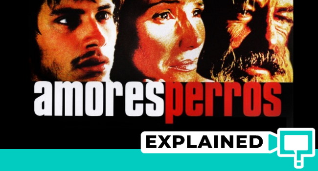 amores perros explained